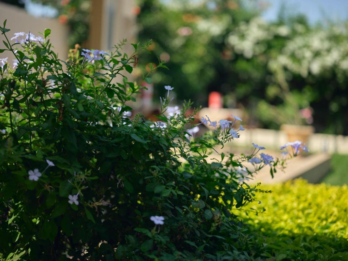 Pelican Residence Fajara ภายนอก รูปภาพ